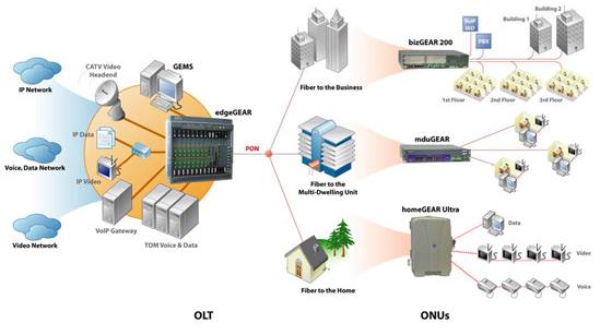 EPON Network Structur